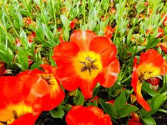 景点-静安雕塑公园