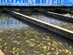 -青龙潭鱼庄