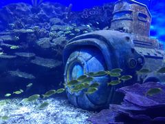 -海合安武汉极地海洋公园