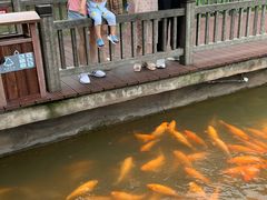 -枫香湖儿童公园