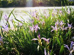 -朝阳公园游乐园