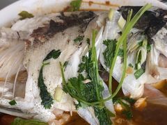 -天乐农家鱼头王(天目湖店)