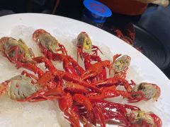 -红盔甲·小龙虾(人民广场店)
