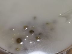 椰汁绿豆西米-湛记牛肚螺粥(群贤路店)