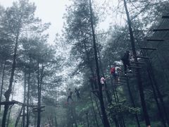 -梦幻奥陶纪景区