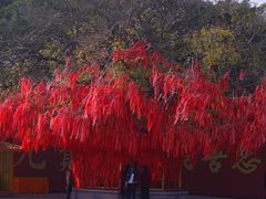 -广州莲花山旅游区