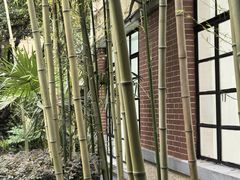 -胶囊画廊