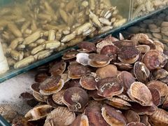 -港畔赶海蒸汽海鲜烧烤自助(仙螺岛店)