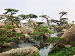 -罗红摄影艺术馆