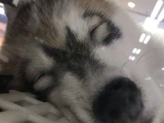 -乐宠宠物店(世纪金源店)