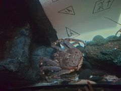 -沈阳海洋探索中心