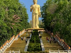 -西双版纳勐泐文化旅游区