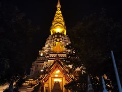 -西双版纳原始森林公园