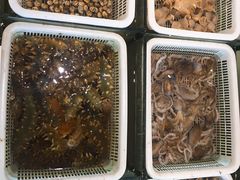 -莆鑫海鲜城(浏河店)