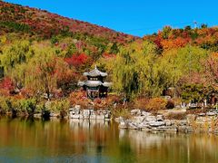 -北宫国家森林公园