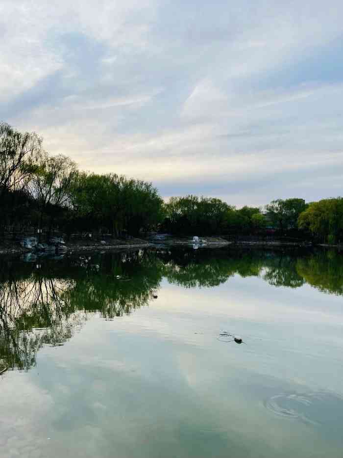 旺兴湖郊野公园图片