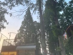 -云间粮仓