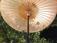 -绿茶餐厅(燕郊永旺店)