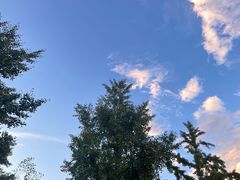 -绿堤公园
