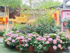 -园林美食城·本土农家菜(杨和镇店)