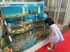 -小叶大馅饺子城