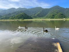 -大九湖