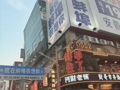 -阿财老铺·老蚌埠龙虾城(华夏总店)