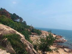 -广东惠东海龟国家级自然保护区