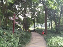 -成都市活水公园