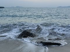 -杨梅坑