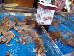 -盒马X会员店(王府井奥莱UP TOWN店)