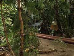-呀路古热带植物园