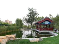 -西海子公园