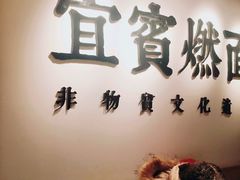 -贰拾捌味·宜宾燃面(春熙路旗舰店)