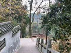 -老君山