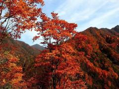-光雾山旅游景区