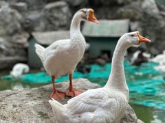 -团结湖公园