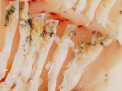 -正能量脆肉鲩火锅
