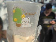 -猫的魔法密林(衣裳街店)