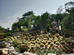 -胡里山炮台