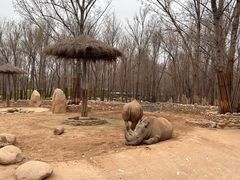 -北京野生动物园