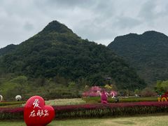 -靖西鹅泉风景区