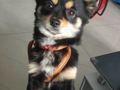 -蜜雪冰城(建设路店)