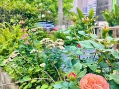 -糖果时光文创产业园