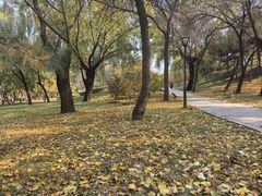 -元大都城垣遗址公园