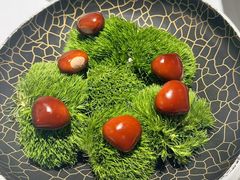 -鹿园 MOOSE(长宁店)