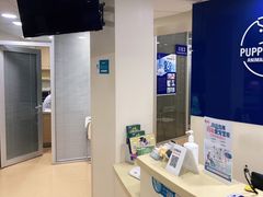 -芭比堂宠物医院·全科爱猫医院·仁德分院