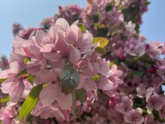 -元大都城垣遗址公园