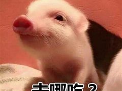 -肯德基(珠峰店)