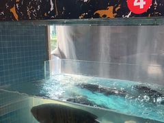 -浔味·山屿湖·正宗全鱼宴老字号